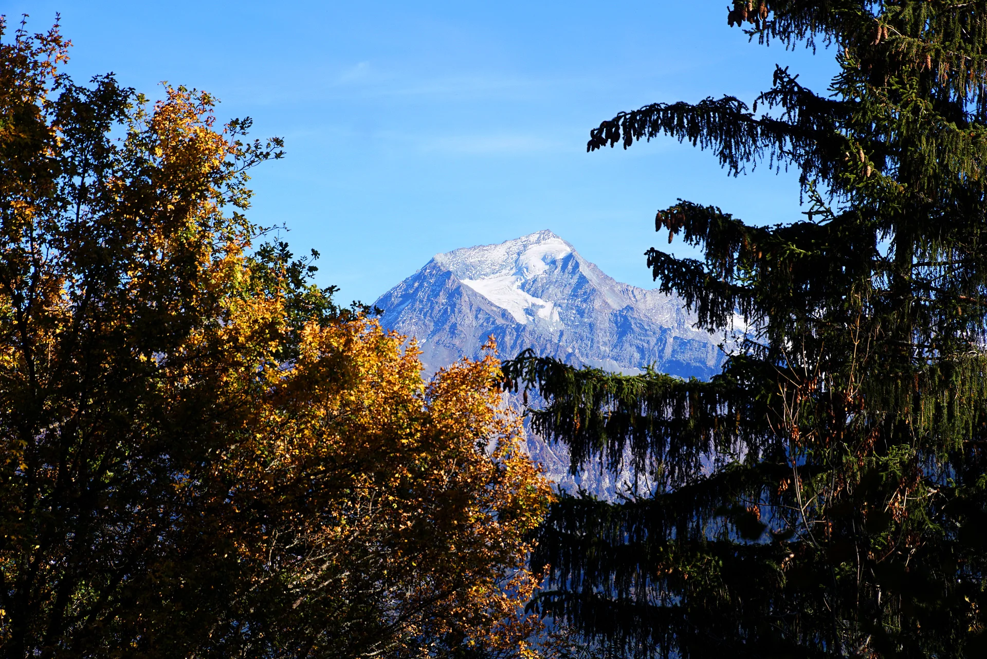 Paysages en automne. Le Mont Pourri dominant les feuillus.